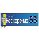 Табличка с вашим адресом на дом 0096-1 фото